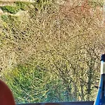 Hotel Goethe Schwarzwald Boutiquehotel Staufen im Breisgau