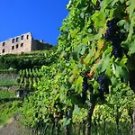 Goethe Schwarzwald Boutiquehotel Hotel