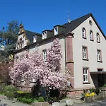Goethe Schwarzwald Boutiquehotel 3* Staufen im Breisgau