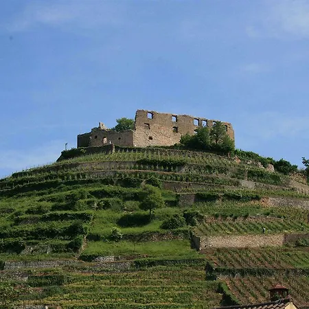 ホテル Goethe Schwarzwald Boutiquehotel 3*