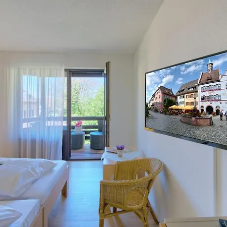 Goethe Schwarzwald Boutiquehotel ホテル シュタウフェン・イム・ブライスガウ