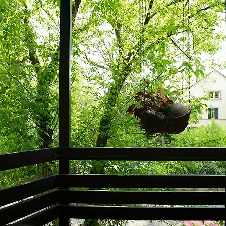 Goethe Schwarzwald Boutiquehotel 스타우펜임브라이스가우