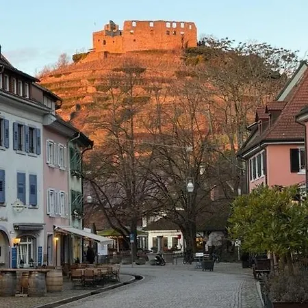 ホテル Goethe Schwarzwald Boutiquehotel 3*