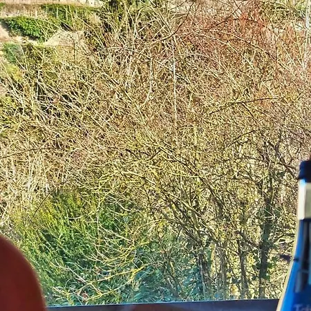 호텔 Goethe Schwarzwald Boutiquehotel 스타우펜임브라이스가우