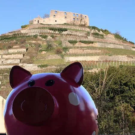 Goethe Schwarzwald Boutiquehotel ホテル シュタウフェン・イム・ブライスガウ