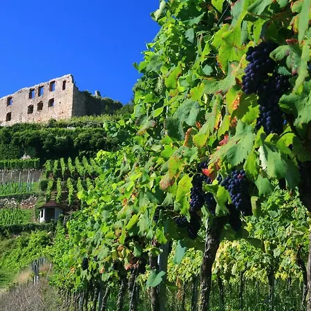 Goethe Schwarzwald Boutiquehotel Hotel