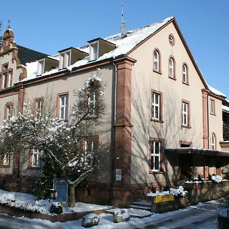 ホテル Goethe Schwarzwald Boutiquehotel 3*
