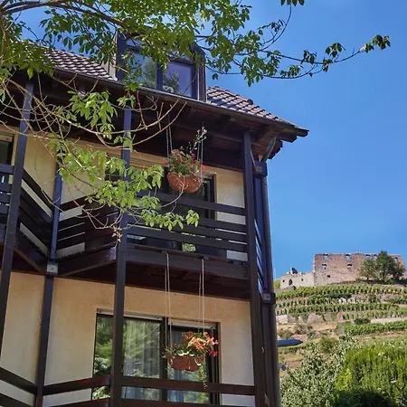 Goethe Schwarzwald Boutiquehotel 호텔 3*